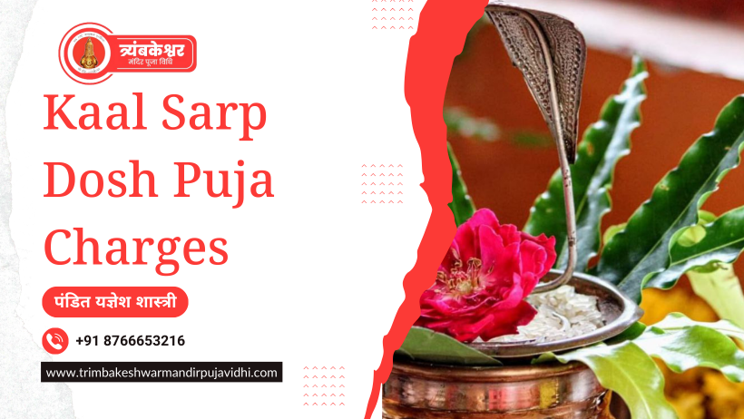 Kaal Sarp Dosh Puja Charges