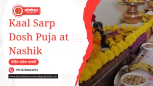 Kaal Sarp Dosh Puja at Nashik