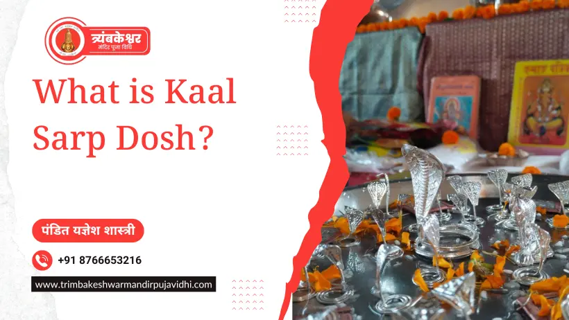 What is Kaal Sarp Dosh