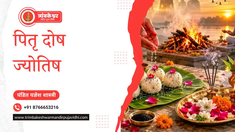 पितृ दोष ज्योतिष